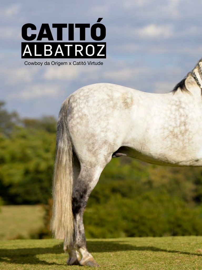 Página 46 Página 46