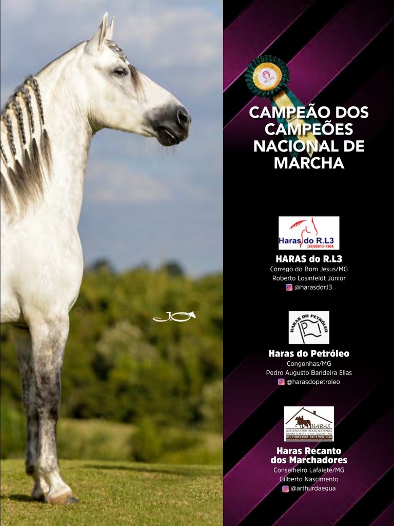 Página 47 Página 47