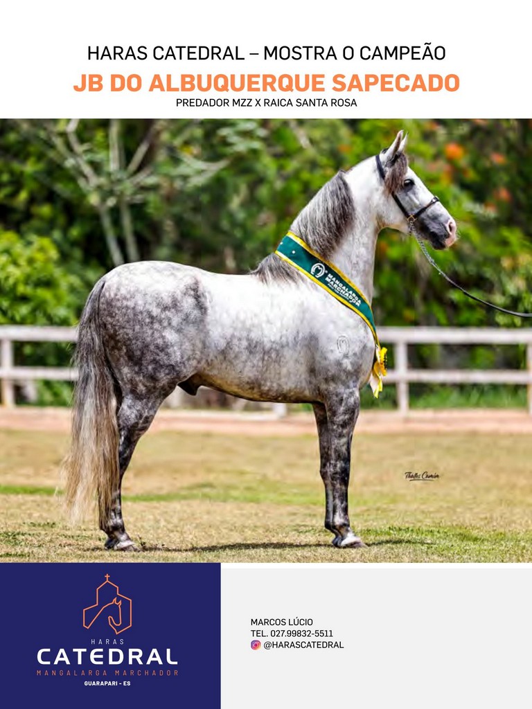 Página 48 Página 48