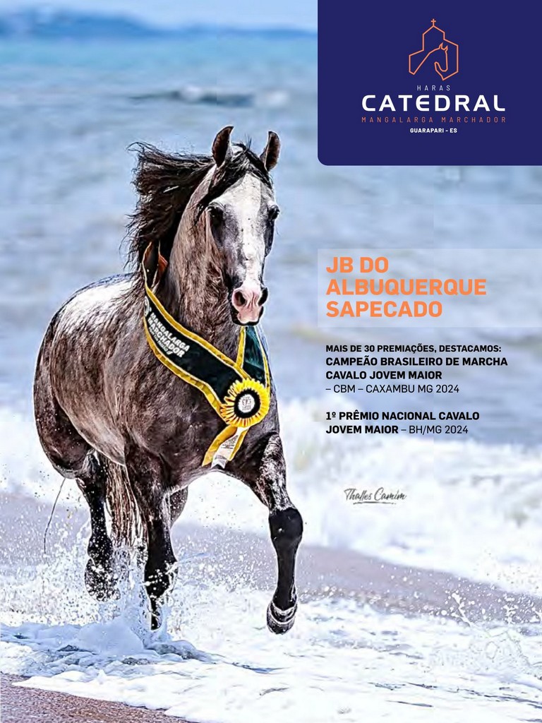 Página 49 Página 49