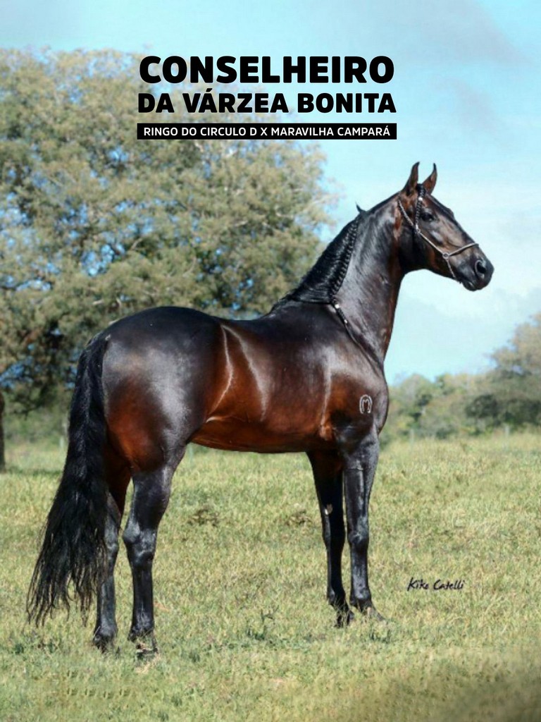 Página 54 Página 54