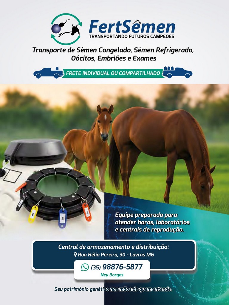 Página 56 Página 56