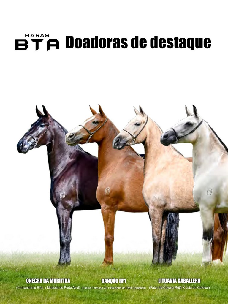 Página 58 Página 58