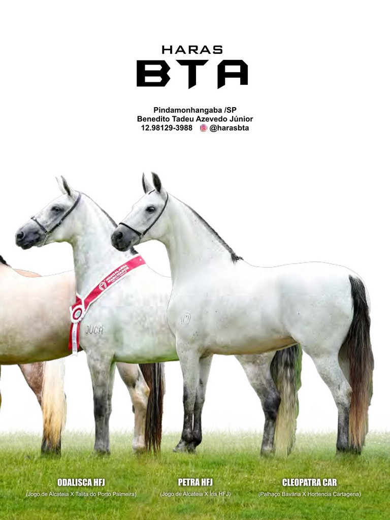 Página 59 Página 59