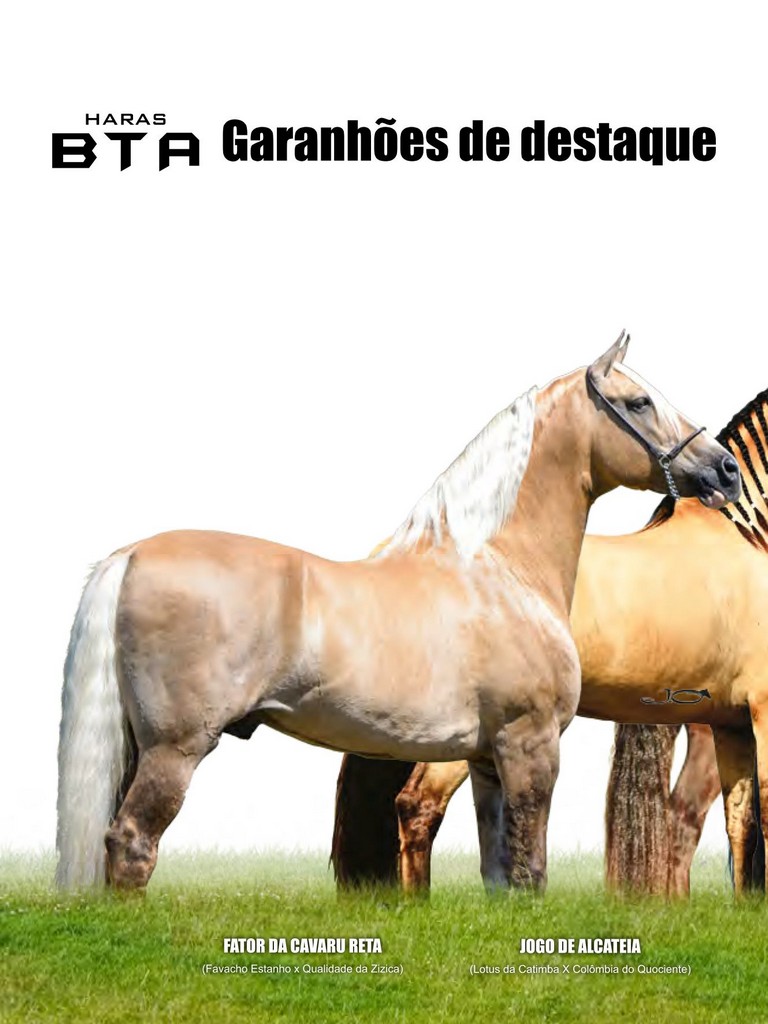 Página 60 Página 60