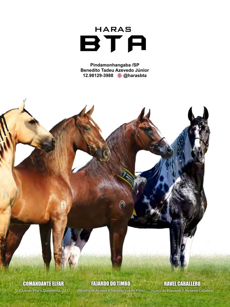 Página 61 Página 61