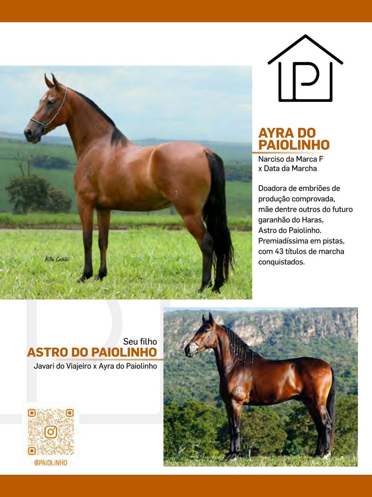 Página 62 Página 62