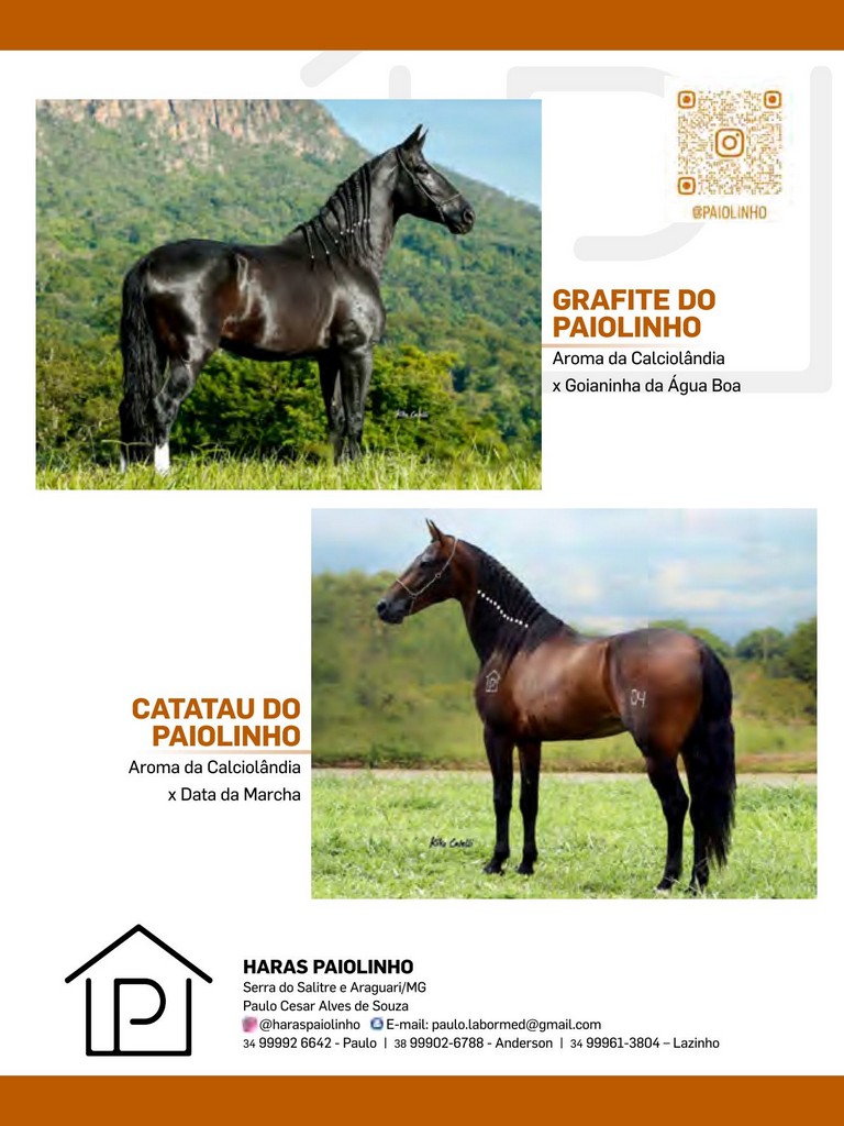 Página 63 Página 63