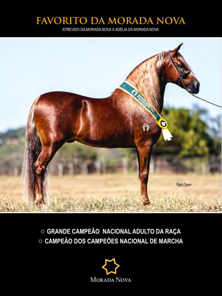 Página 64 Página 64