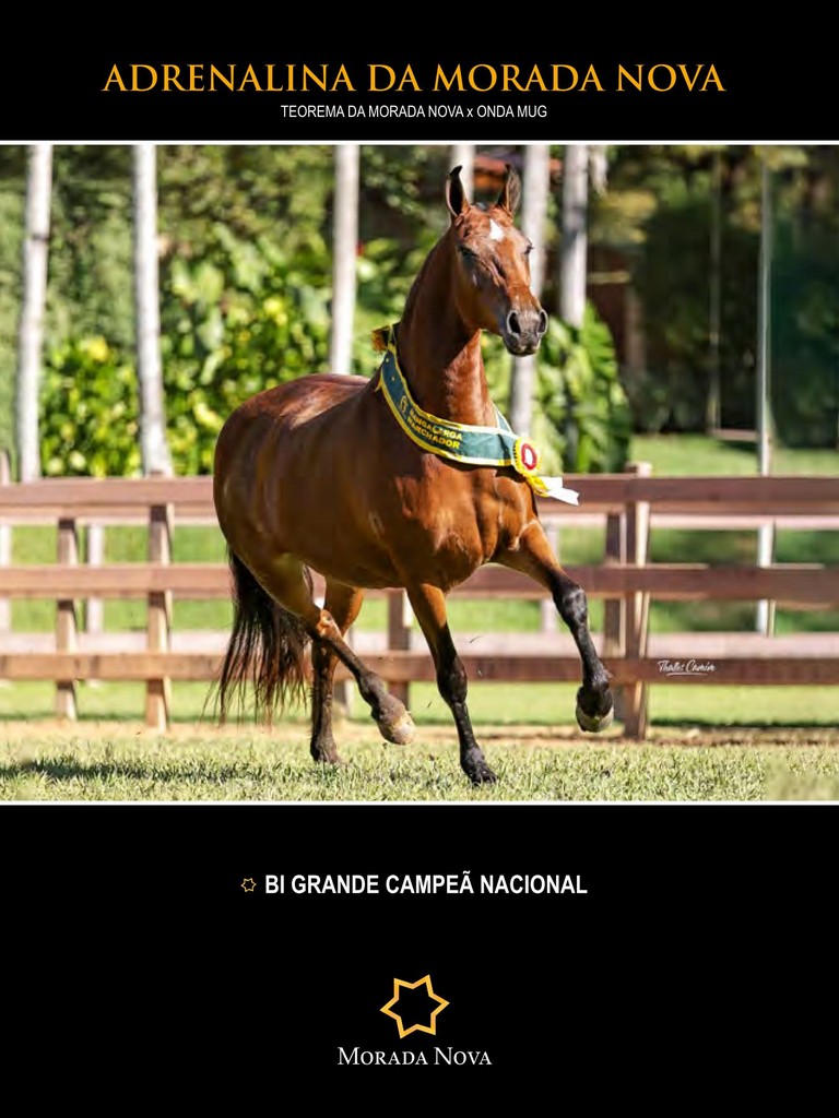 Página 65 Página 65