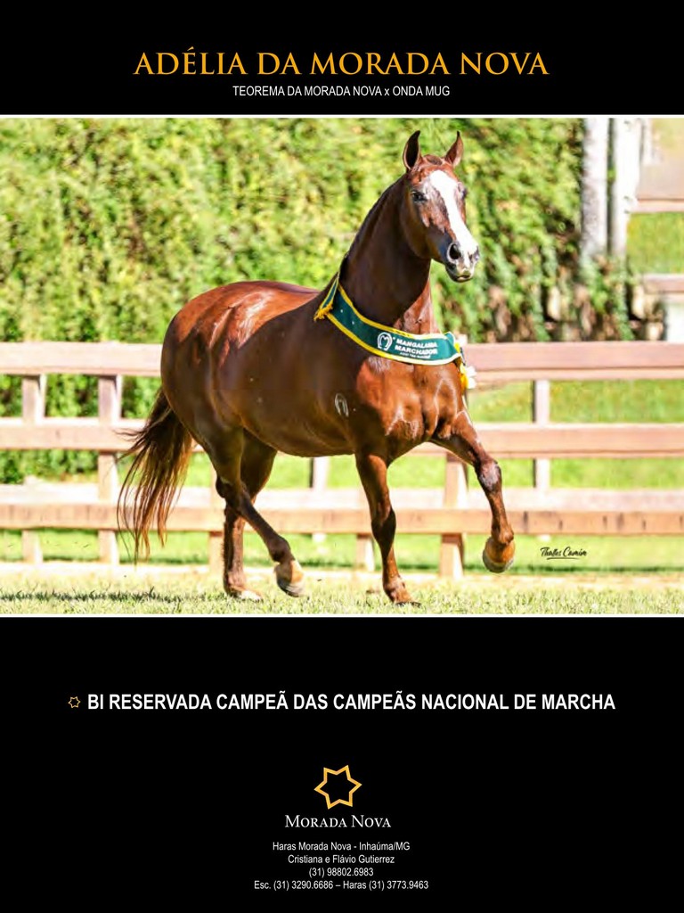 Página 66 Página 66