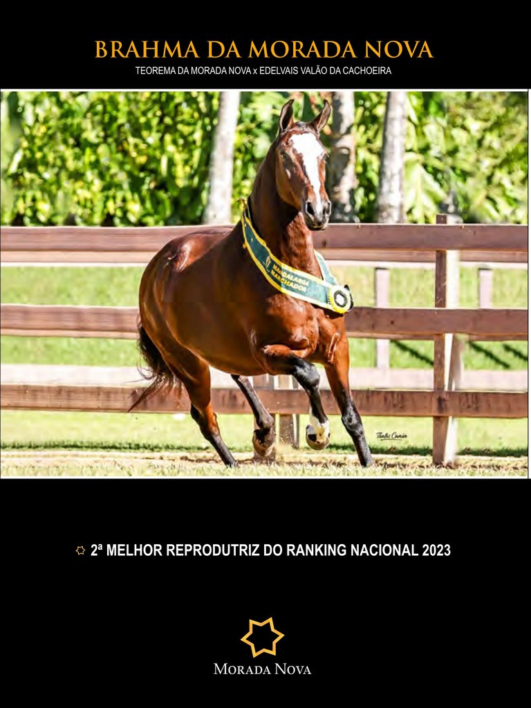 Página 67 Página 67