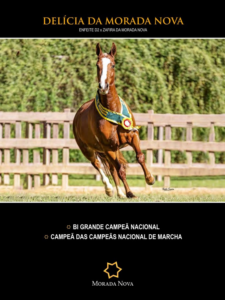 Página 68 Página 68