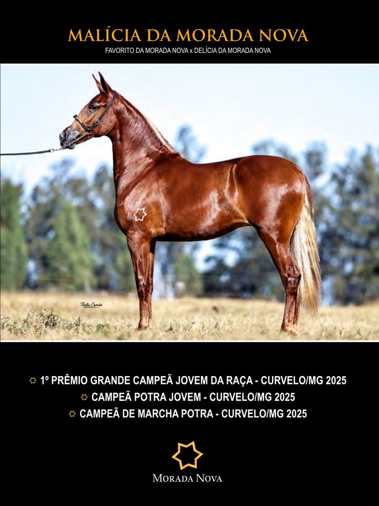 Página 69 Página 69