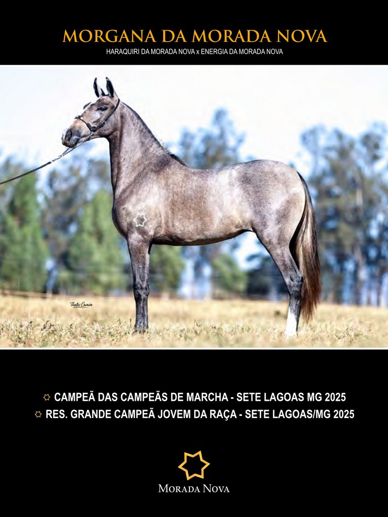 Página 70 Página 70