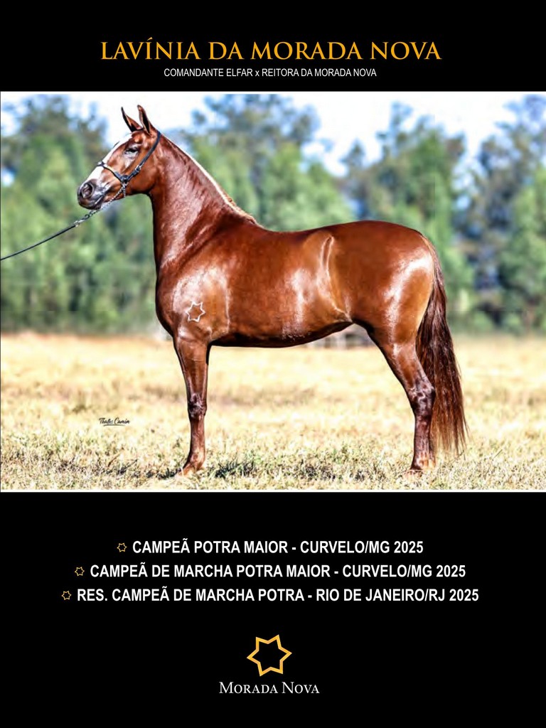 Página 71 Página 71