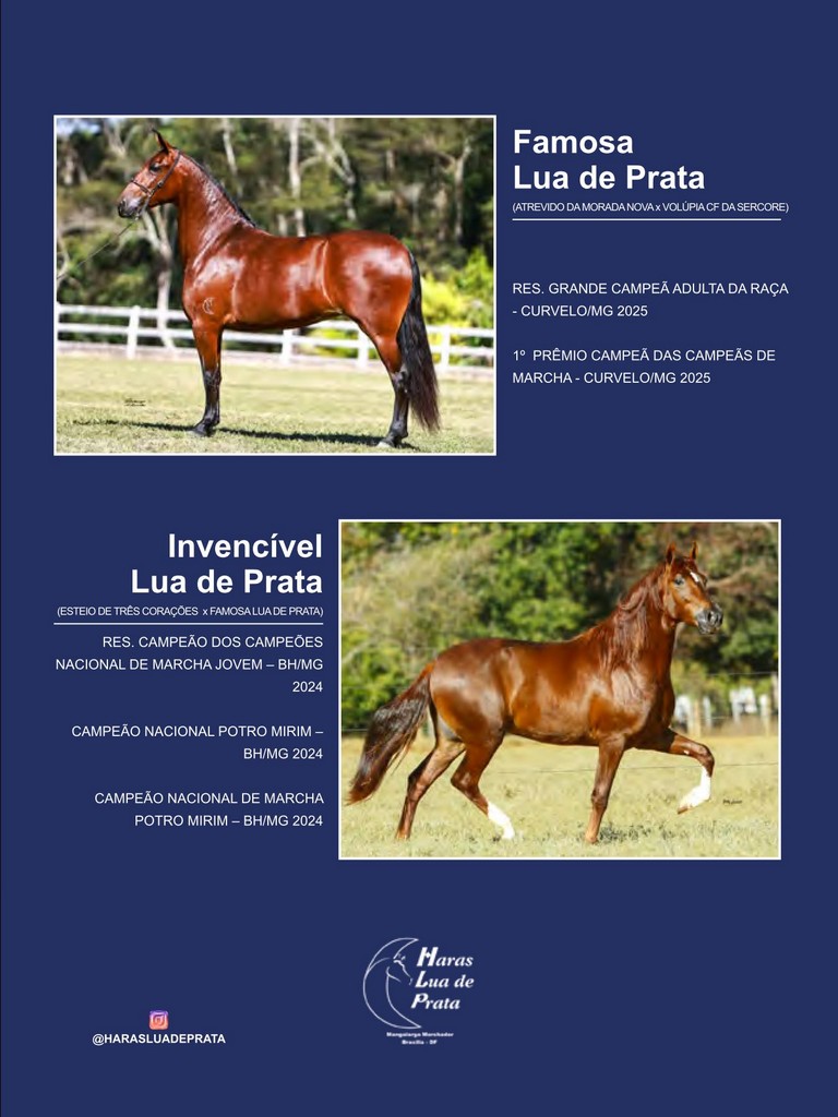 Página 73 Página 73