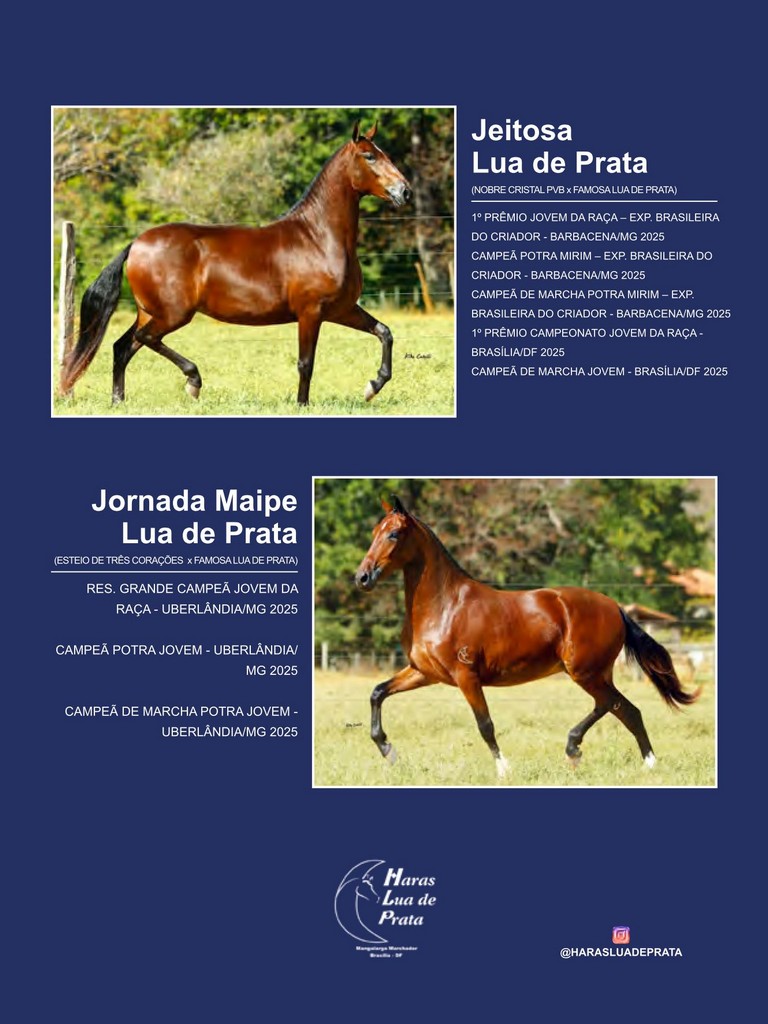 Página 74 Página 74