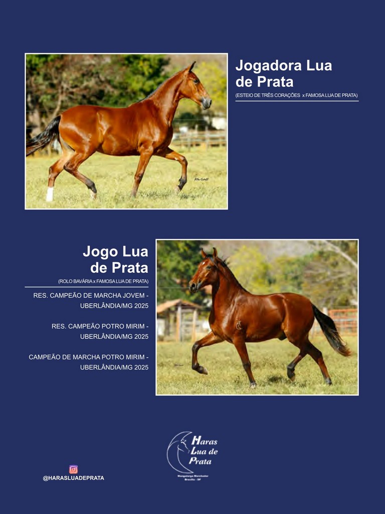 Página 75 Página 75