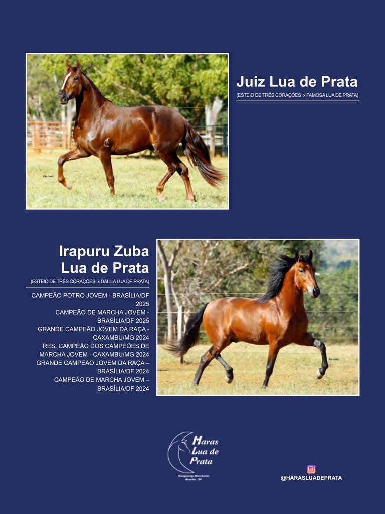 Página 76 Página 76