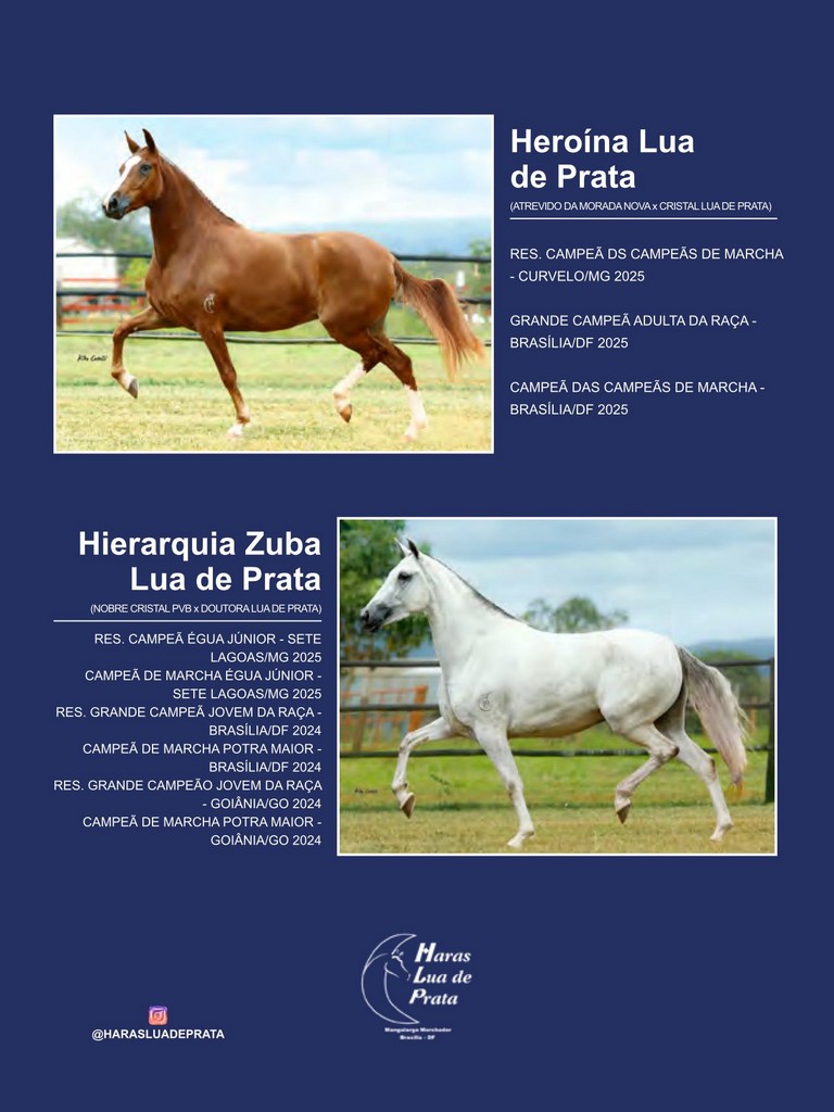 Página 77 Página 77