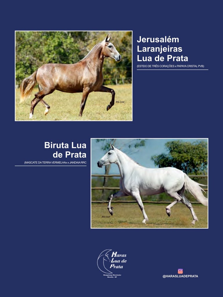 Página 78 Página 78