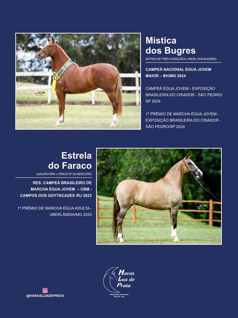 Página 79 Página 79