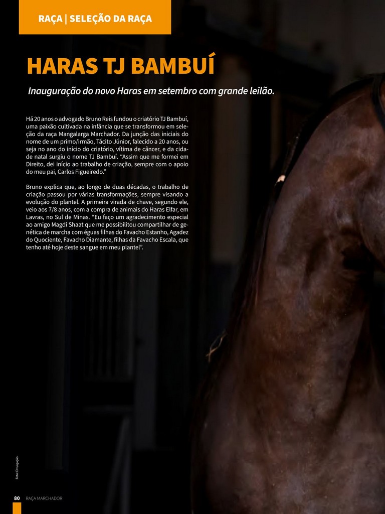 Página 80 Página 80