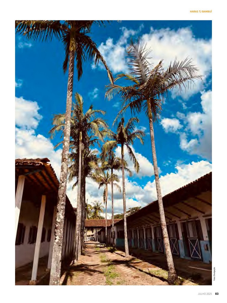 Página 83 Página 83