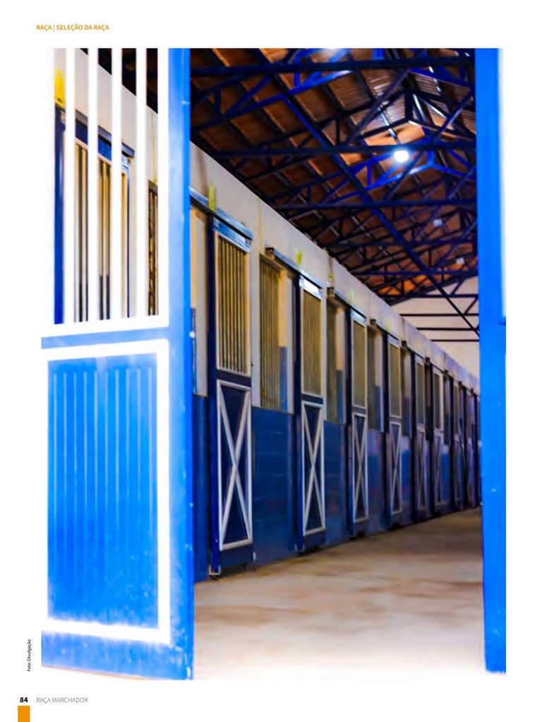 Página 84 Página 84