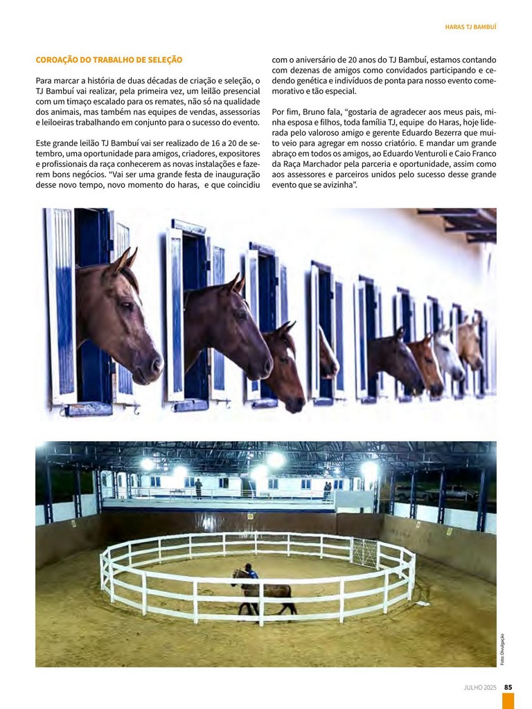 Página 85 Página 85