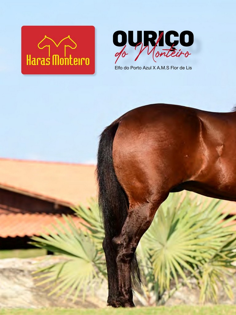 Página 88 Página 88