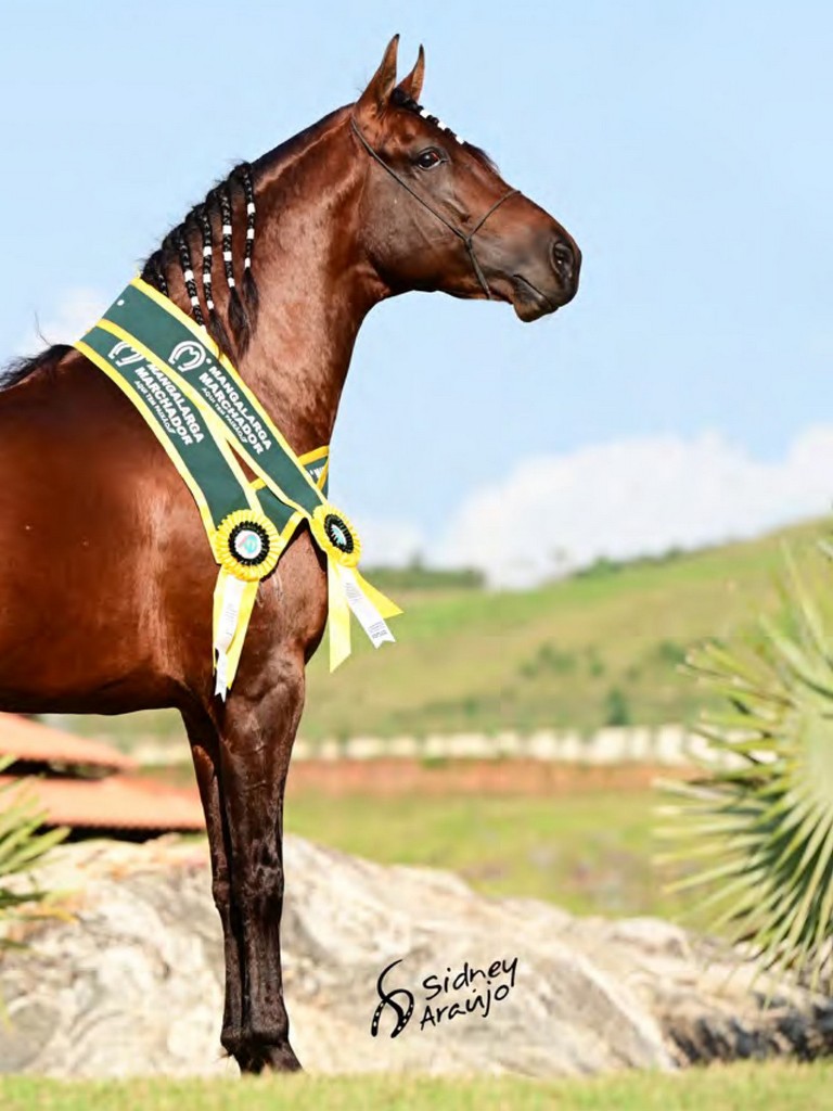 Página 89 Página 89