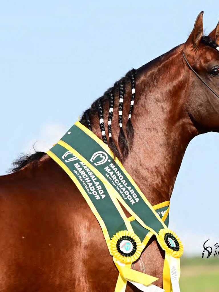 Página 90 Página 90