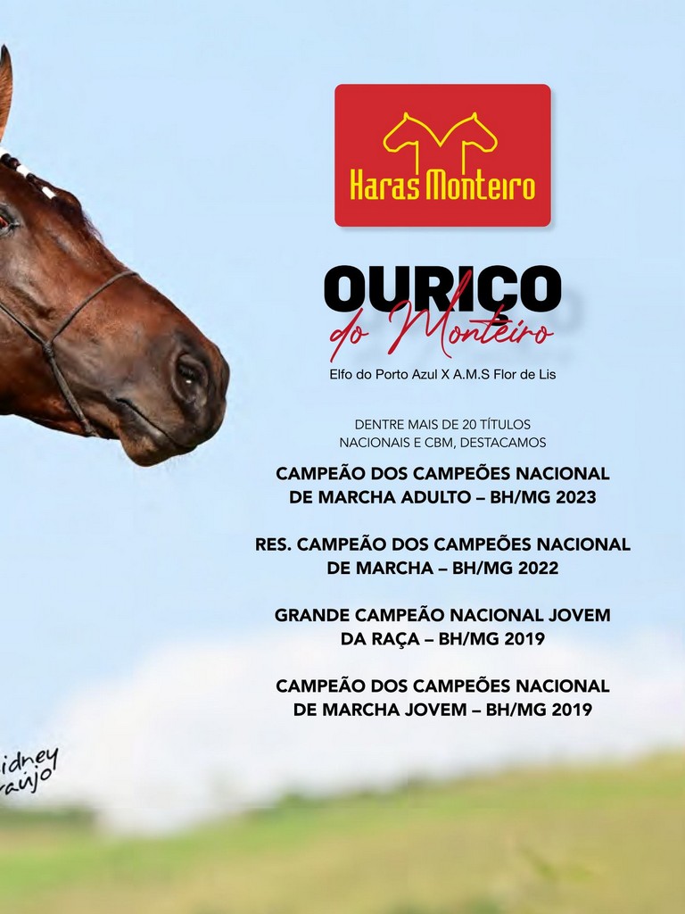 Página 91 Página 91