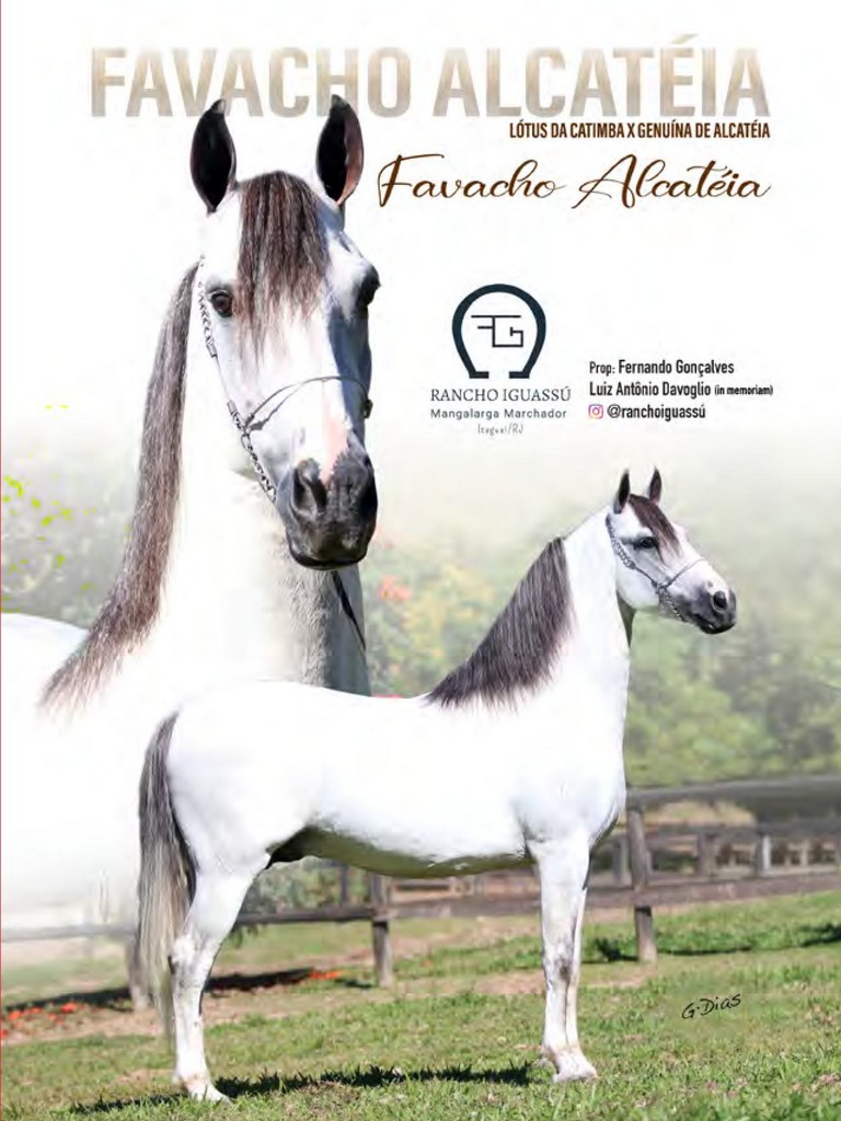 Página 93 Página 93