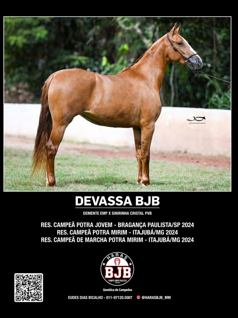 Página 94 Página 94