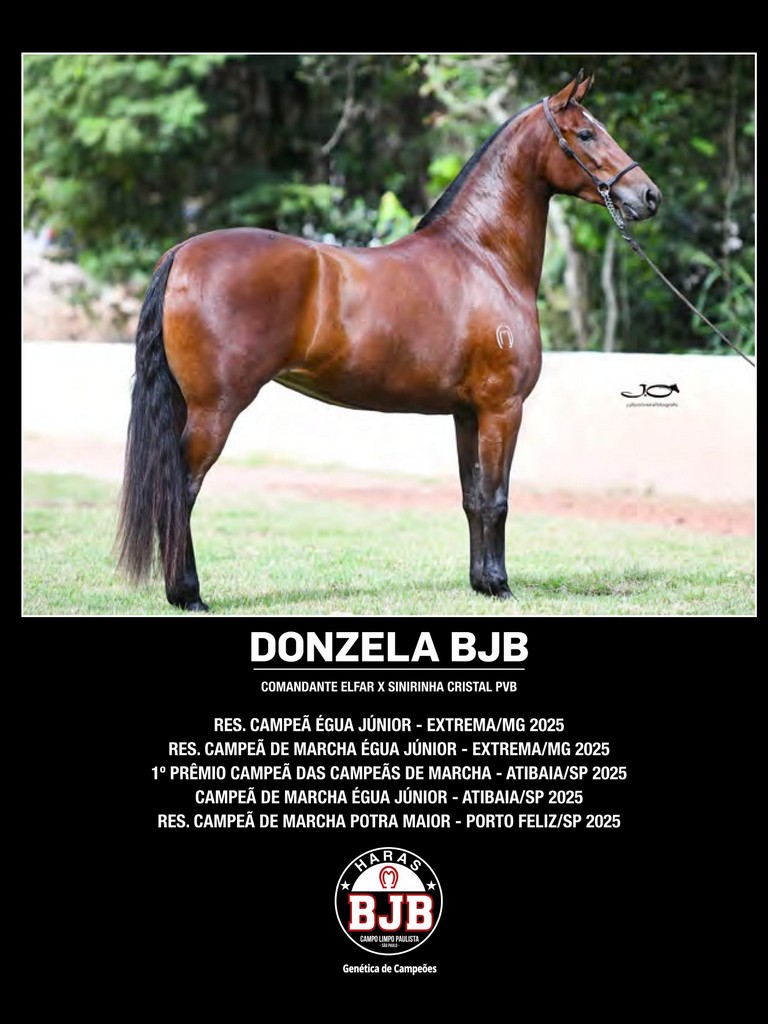 Página 95 Página 95