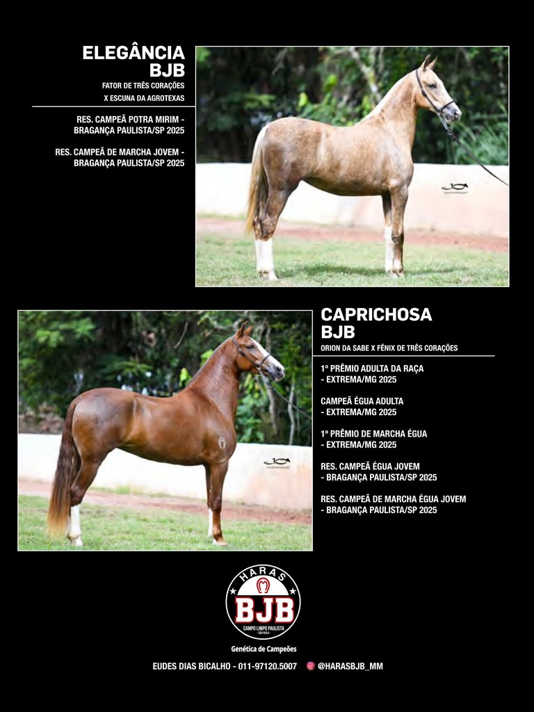 Página 96 Página 96