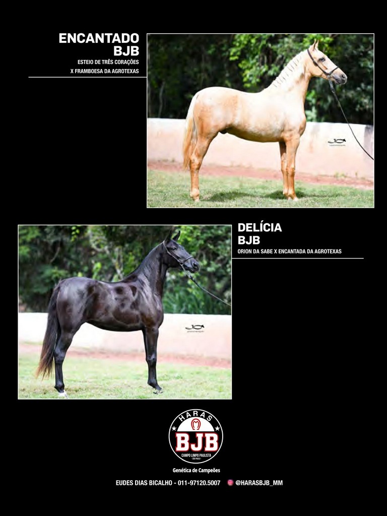 Página 97 Página 97