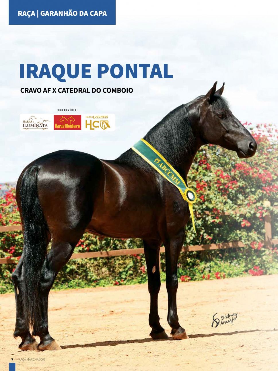IRAQUE PONTAL