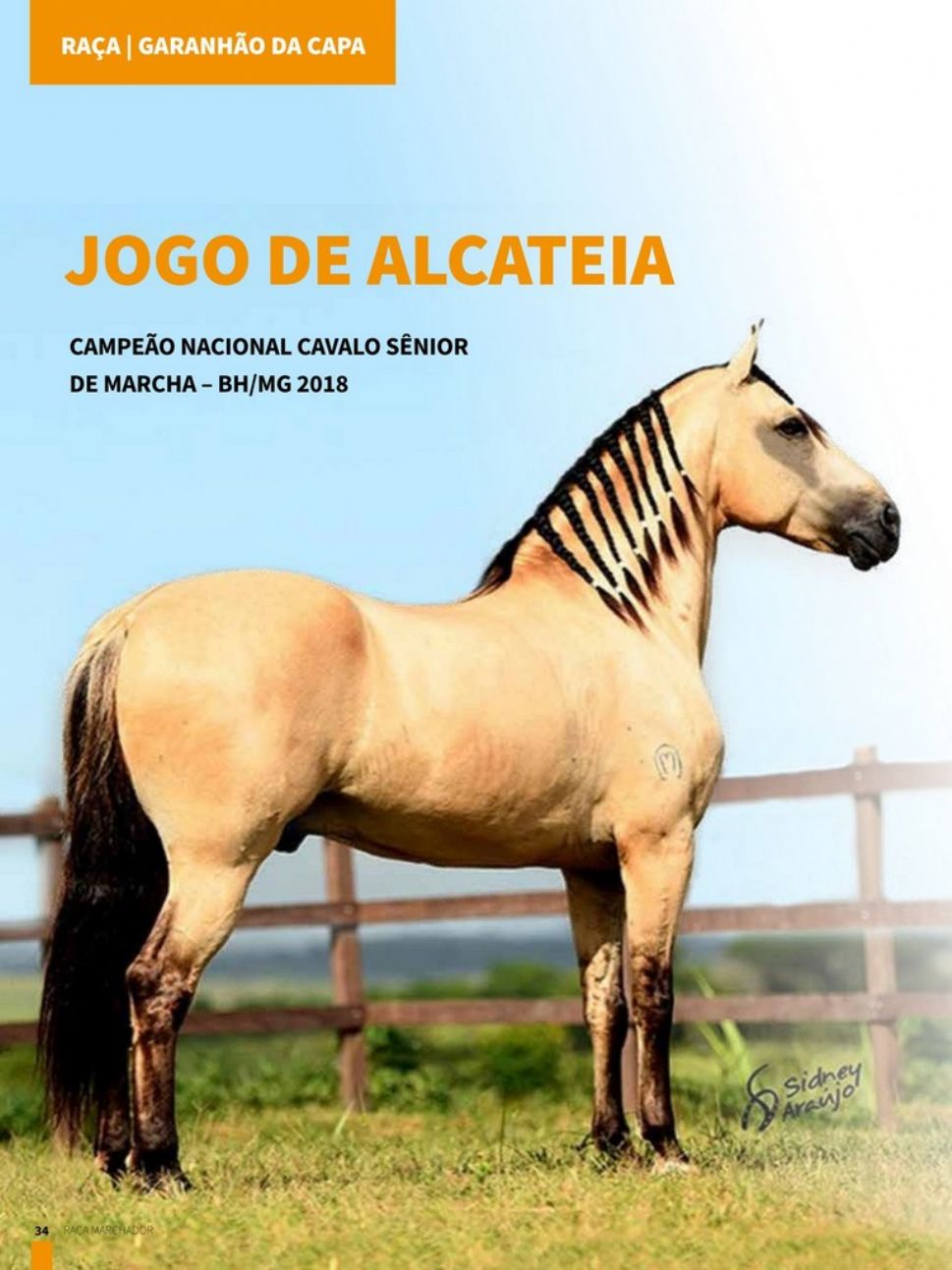 JOGO DE ALCATEIA