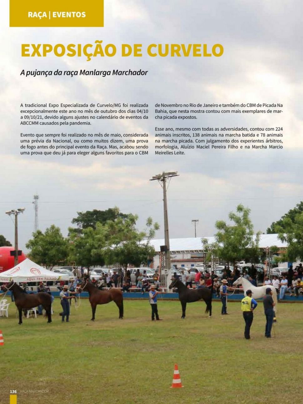 EXPOSIÇÃO DE CURVELO